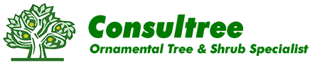 Consultree Logo